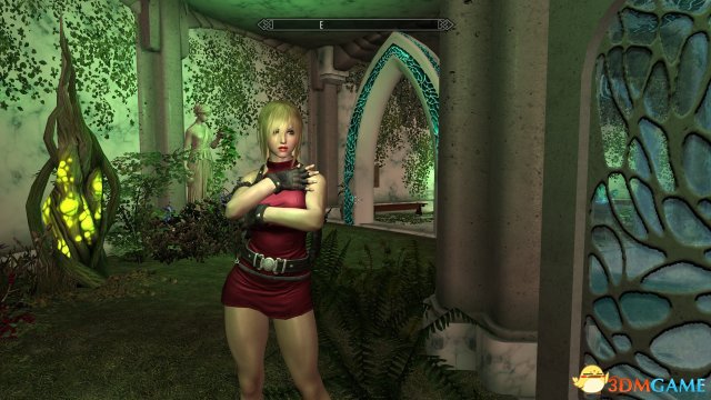 上古卷轴5 波利弗罗尔随从MOD