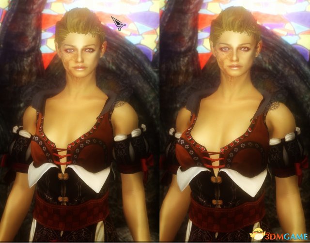 上古卷轴5 巫师斯勒和基拉梅斯女巫服mod