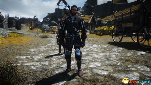 上古卷轴5 巫师3尼弗嘉德帝国护甲mod