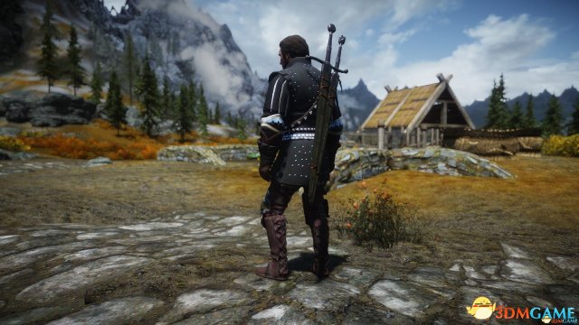 上古卷轴5 巫师3尼弗嘉德帝国护甲mod