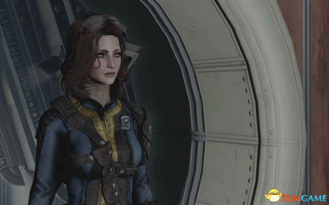 辐射4 小皮的预设MOD