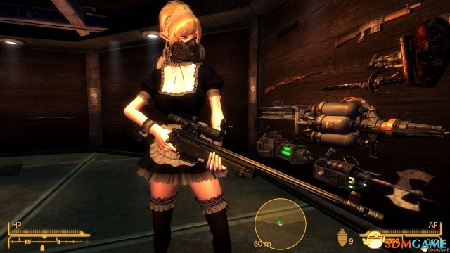 辐射：新维加斯 武器MOD整合包