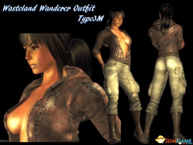 辐射:新维加斯 人物美化MOD包