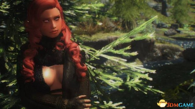 上古卷轴5 索雷斯随从MOD