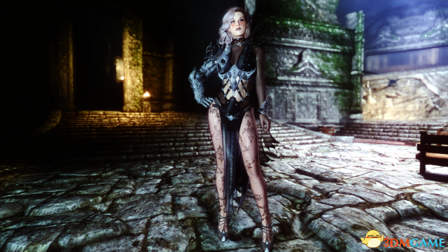 上古卷轴5 黑色沙漠黑骑士性感皮铠MOD