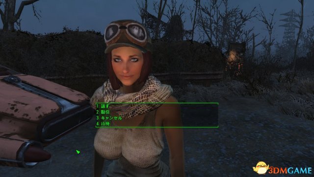 辐射4 女性版本的麦奎迪MOD