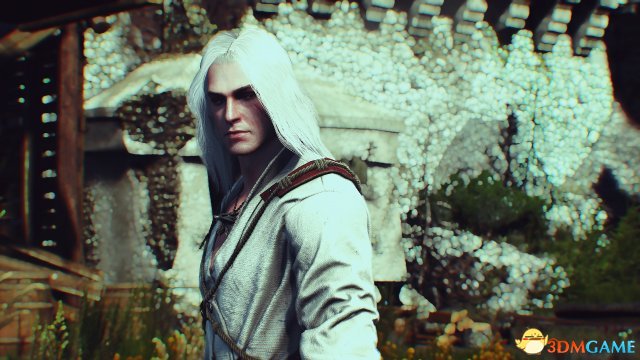 巫师3：狂猎 v1.31杰洛特杀马特披肩长发MOD