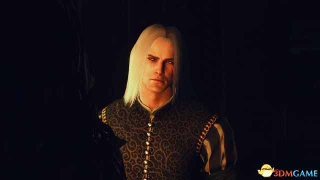 巫师3：狂猎 v1.31杰洛特杀马特披肩长发MOD