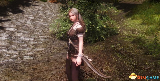 上古卷轴5 吸血鬼少女法耶随从MOD