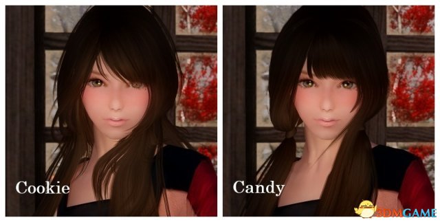 上古卷轴5：天际 伊娜随从MOD[汉化]