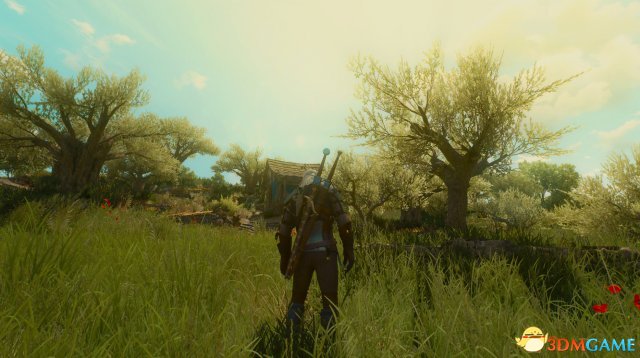 巫师3:狂猎 v1.31浓密草丛MOD