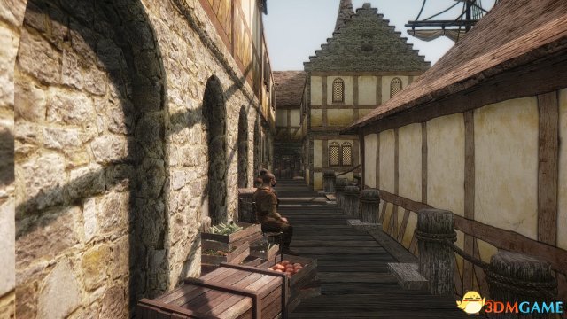 上古卷轴5:天际重制版 天际海军MOD