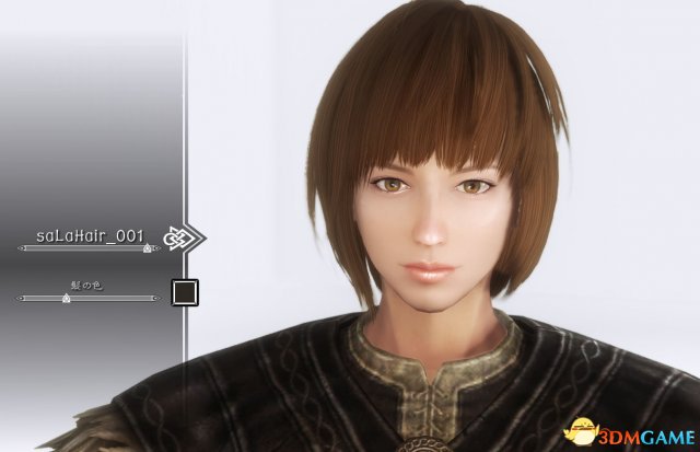 上古卷轴5 saLa Hair发型MOD整合包
