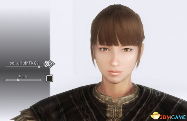 上古卷轴5 saLa Hair发型MOD整合包