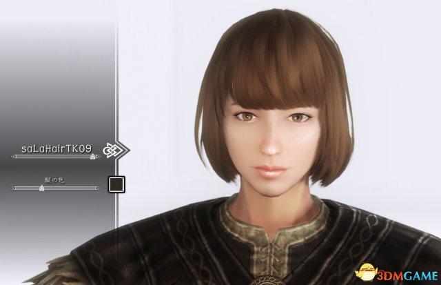 上古卷轴5 saLa Hair发型MOD整合包