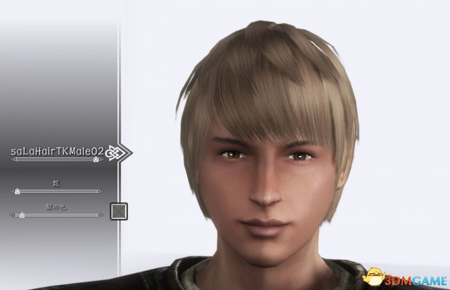 上古卷轴5 saLa Hair发型MOD整合包