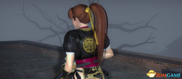 求生之路2 死或生黑金忍者服霞MOD