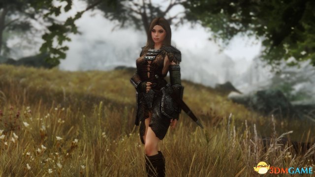 上古卷轴5 双剑士妹子Luzie独立随从MOD