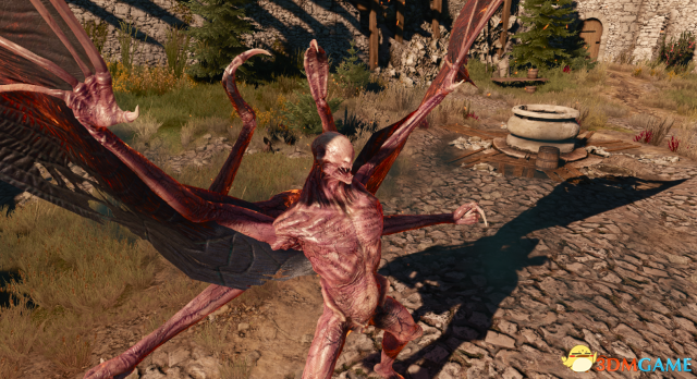 巫师3:狂猎 v1.31另类蝙蝠人MOD