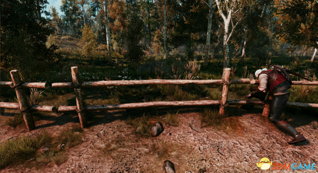 巫师3:狂猎 v1.31EK战斗跳跃MOD