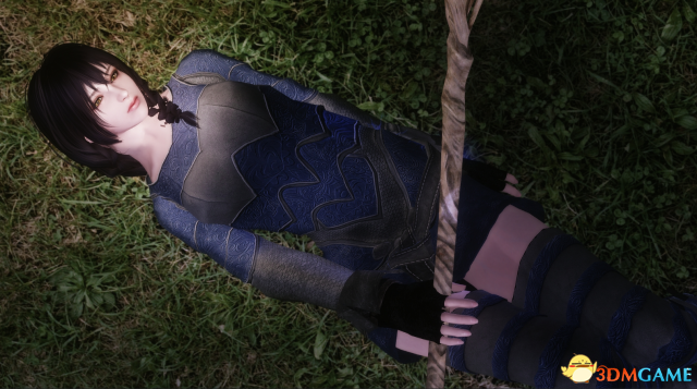 上古卷轴5 治愈系御姐里拉随从MOD