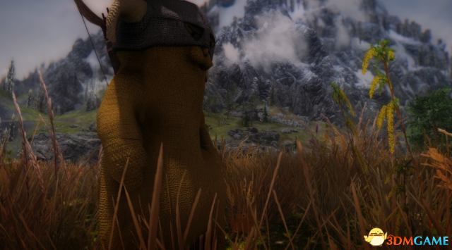 上古卷轴5 毛绒玩具泰迪小熊独立随从MOD