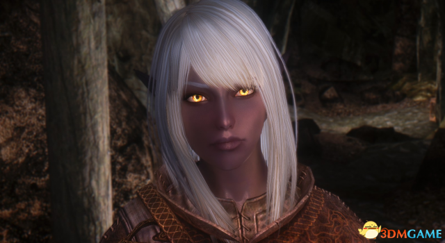 上古卷轴5 独立随从法师女团GK三人组MOD