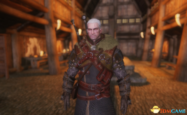 上古卷轴5 巫师3利维亚的杰洛特护甲整合包