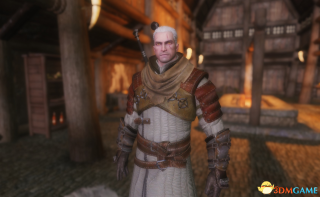 上古卷轴5 巫师3利维亚的杰洛特护甲整合包