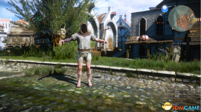 巫师3：狂猎 v1.31控制台上帝视角MOD