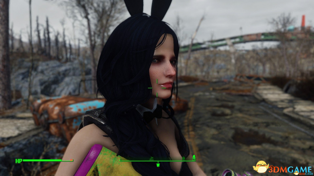 辐射4 派普楚楚可怜修改版捏脸