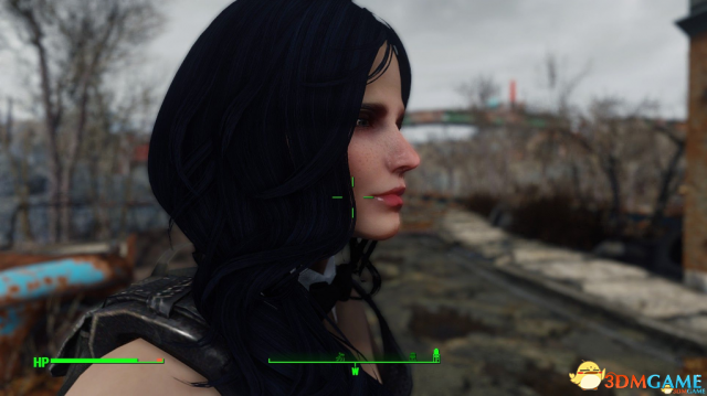 辐射4 派普楚楚可怜修改版捏脸