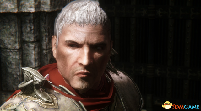 上古卷轴5 冬天的男人男性角色美化MOD