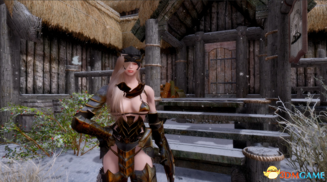 上古卷轴5 武僧骑士妹子随从MOD