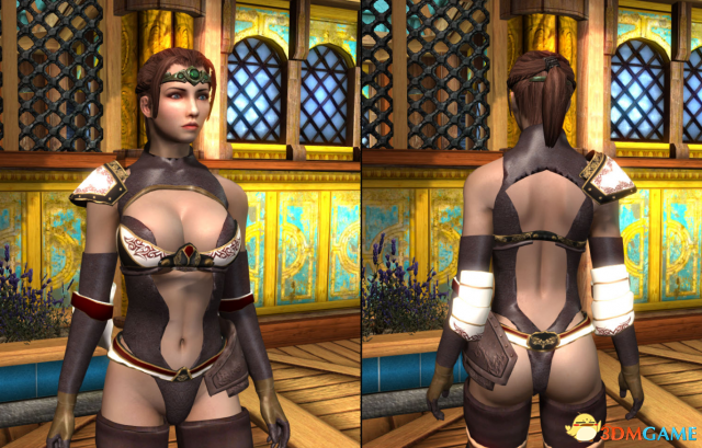 上古卷轴5 Demothris性感皮制轻甲MOD