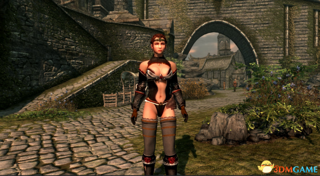 上古卷轴5 Demothris性感皮制轻甲MOD