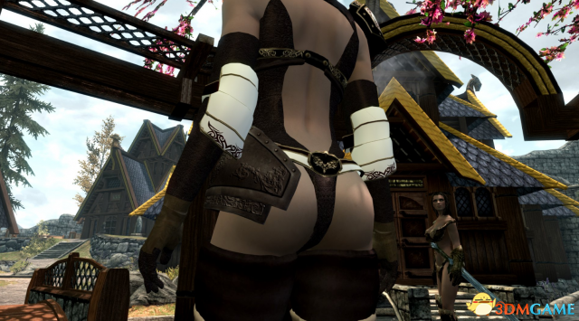 上古卷轴5 Demothris性感皮制轻甲MOD