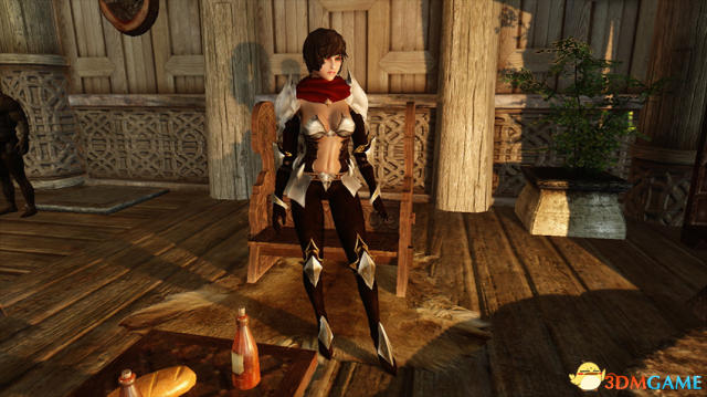 上古卷轴5 黑暗姐妹会性感紧身轻甲套装MOD