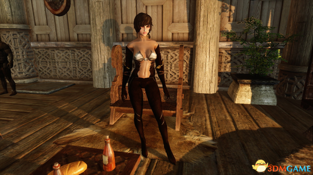 上古卷轴5 黑暗姐妹会性感紧身轻甲套装MOD