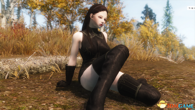 上古卷轴5 冒险者卡琳冰魔法师随从MOD