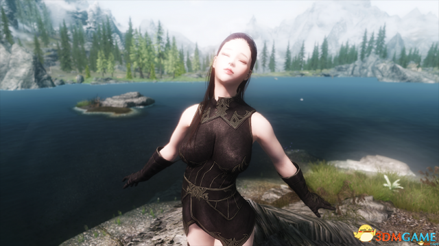 上古卷轴5 冒险者卡琳冰魔法师随从MOD