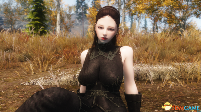 上古卷轴5 冒险者卡琳冰魔法师随从MOD