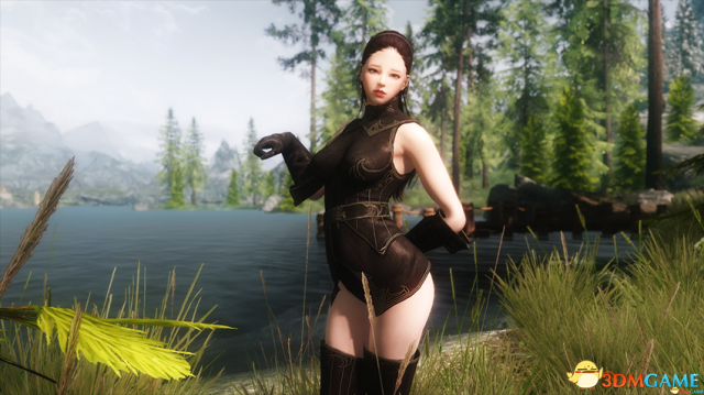 上古卷轴5 冒险者卡琳冰魔法师随从MOD