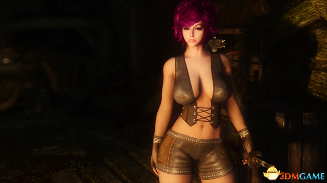 上古卷轴5 UNPB性感的皮革短夹克套装MOD