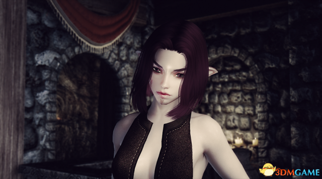 上古卷轴5 精灵剑士奥尔西德独立随从MOD