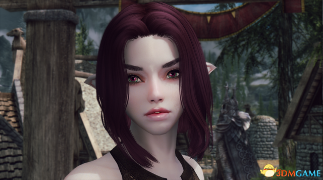 上古卷轴5 精灵剑士奥尔西德独立随从MOD