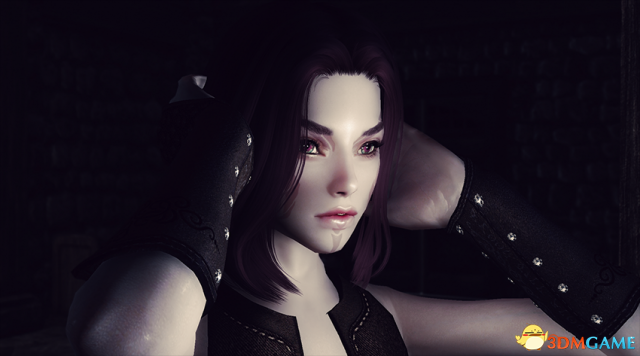 上古卷轴5 精灵剑士奥尔西德独立随从MOD