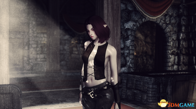 上古卷轴5 精灵剑士奥尔西德独立随从MOD