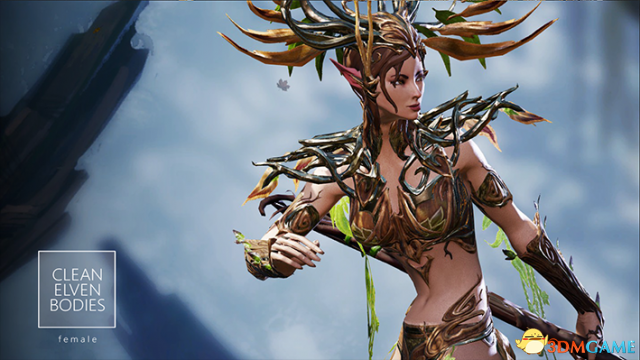 神界：原罪2 v3.0.146.969精灵女性装备纹理修正美化MOD