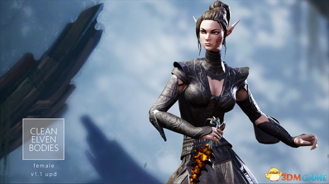 神界：原罪2 v3.0.146.969精灵女性装备纹理修正美化MOD